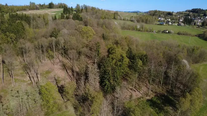 Prodej lesa, Loužnice, 5723 m2