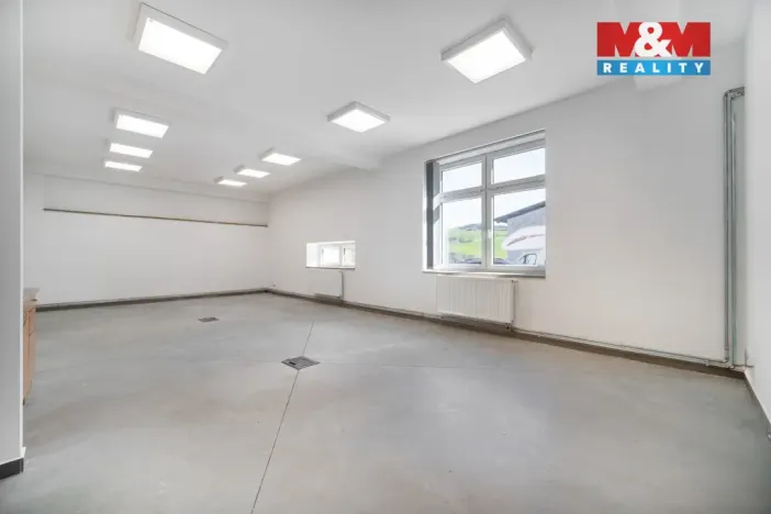 Pronájem výrobních prostor, Albrechtice, 328 m2