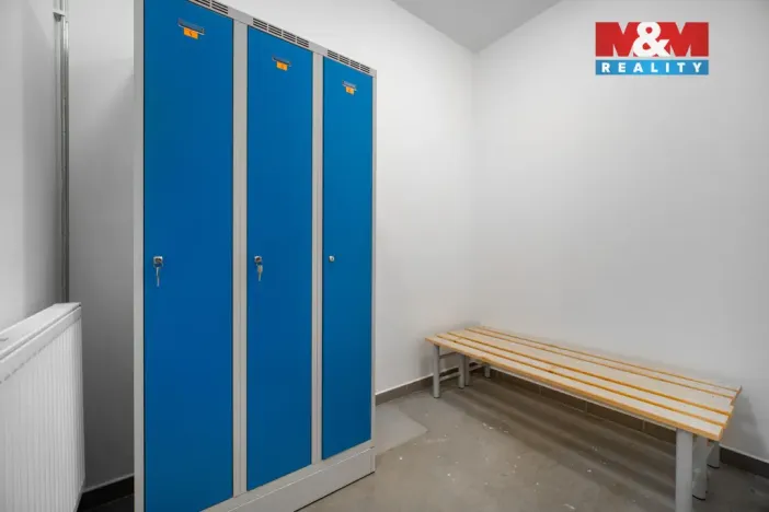 Pronájem výrobních prostor, Albrechtice, 328 m2