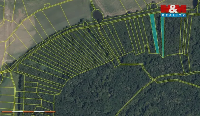 Prodej lesa, Přerov nad Labem, 70048 m2