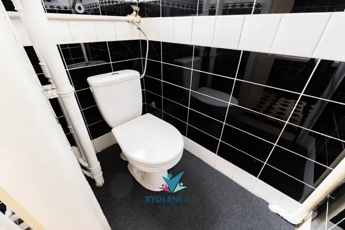 Prodej vily, Teplice, Antonína Dvořáka, 300 m2