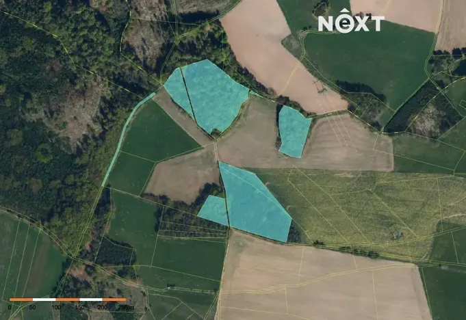 Prodej lesa, Věž, 41070 m2