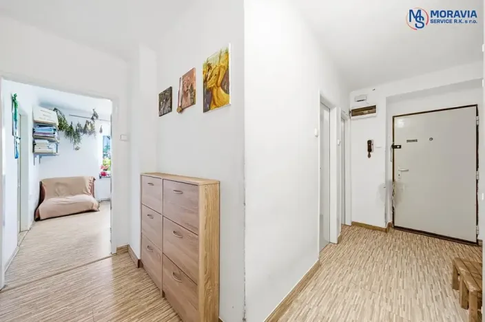 Prodej bytu 2+1, Olomouc, Wolkerova, 60 m2