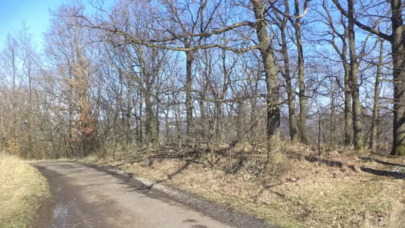 Prodej pozemku, Ústí nad Labem, 7064 m2