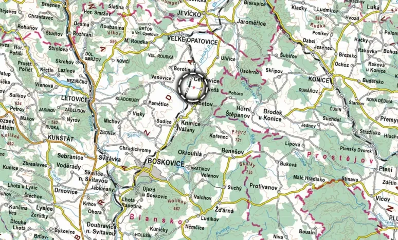 Prodej louky, Světlá, 3819 m2