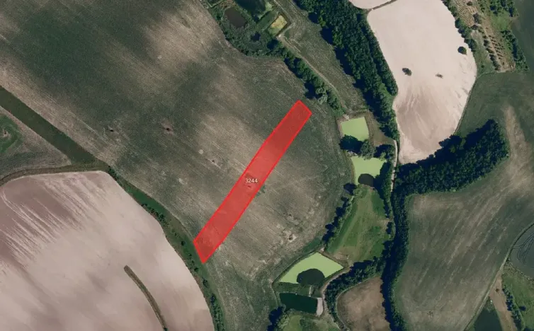 Prodej pole, Borkovany, 7843 m2