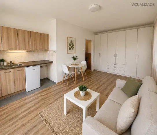 Pronájem bytu 1+kk, Frýdek-Místek, Slezská, 23 m2