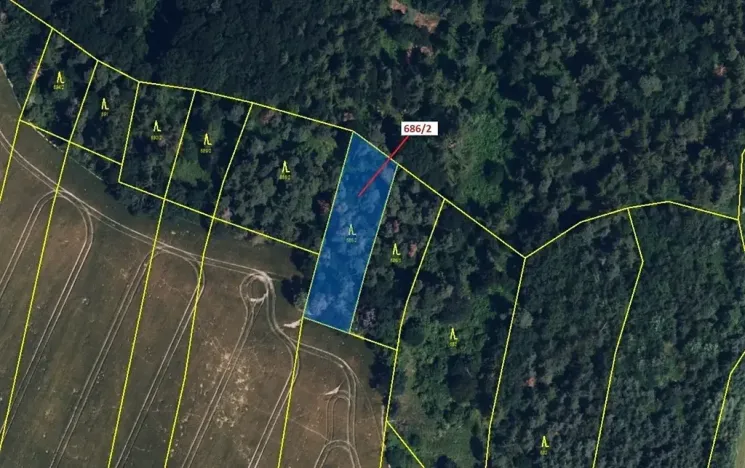 Dražba lesa, Přemyslovice, 1381 m2