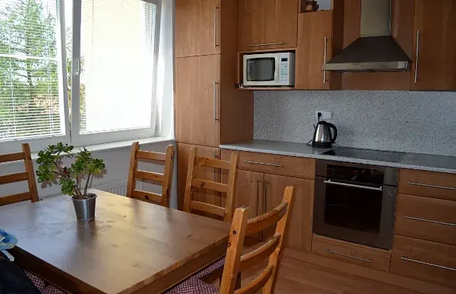 Pronájem bytu 3+1, Uherský Brod, V. Růžičky, 72 m2