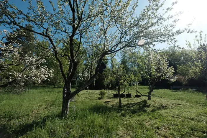 Prodej chaty, Halenkovice, 78 m2