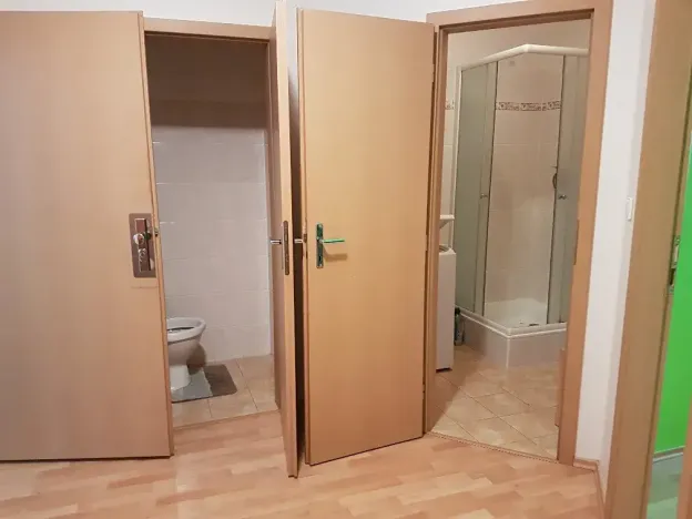 Pronájem bytu 1+kk, Staré Město, Moravní nábřeží, 38 m2