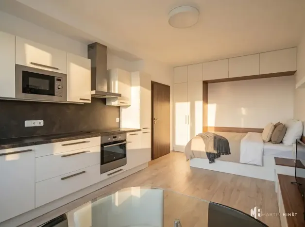 Prodej bytu 1+kk, Praha - Horní Měcholupy, Nad přehradou, 30 m2