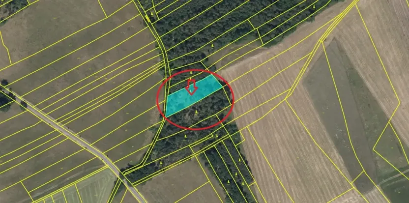 Prodej lesa, Krakovany, 3138 m2