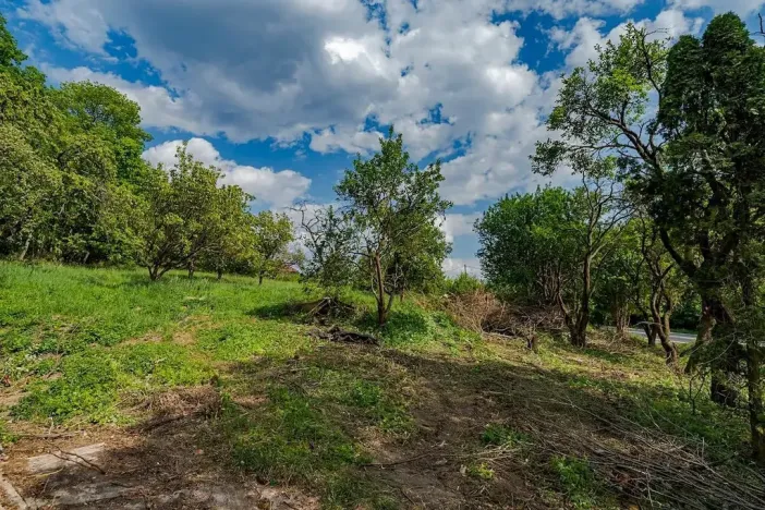 Prodej pozemku pro bydlení, Veliny, 1236 m2