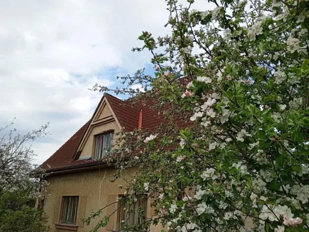 Prodej rodinného domu, Měchenice, 240 m2