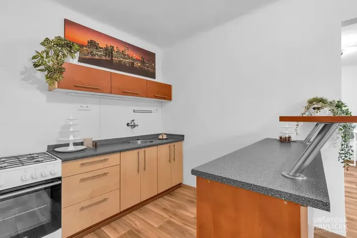 Prodej bytu 1+1, Hradec Králové, Horova, 44 m2