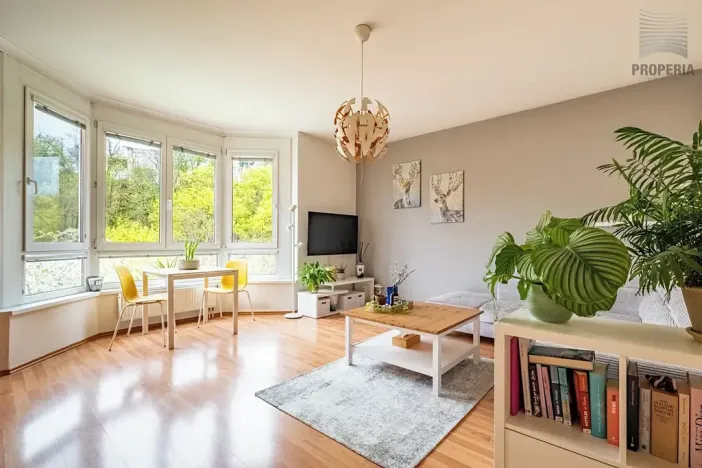 Prodej bytu 2+kk, Brno, Trýbova, 56 m2