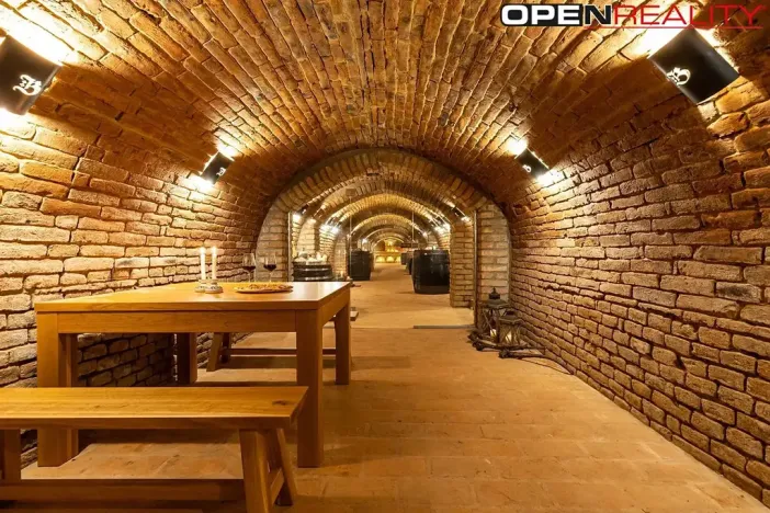 Prodej vícegeneračního domu, Dolní Bojanovice, Vinařská, 367 m2