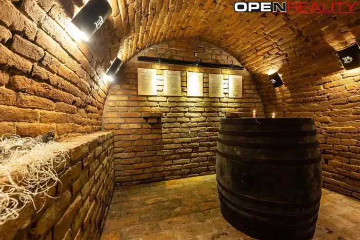 Prodej vícegeneračního domu, Dolní Bojanovice, Vinařská, 367 m2