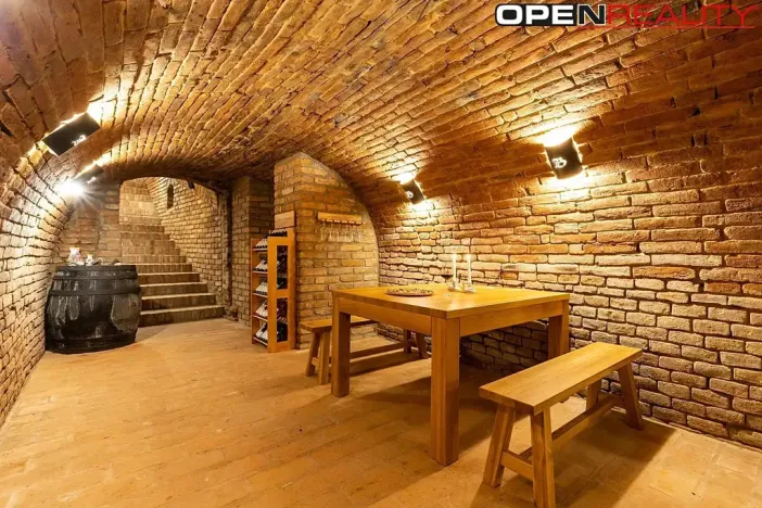 Prodej vícegeneračního domu, Dolní Bojanovice, Vinařská, 367 m2