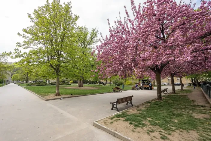 Pronájem bytu 2+kk, Brno, Údolní, 69 m2