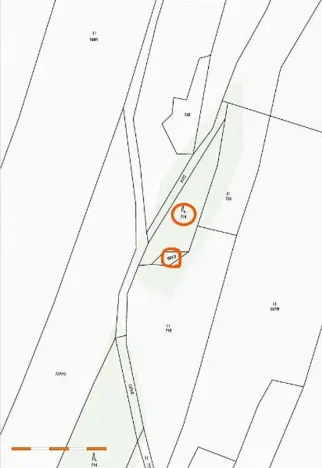 Prodej lesa, Nová Bystřice, 1069 m2