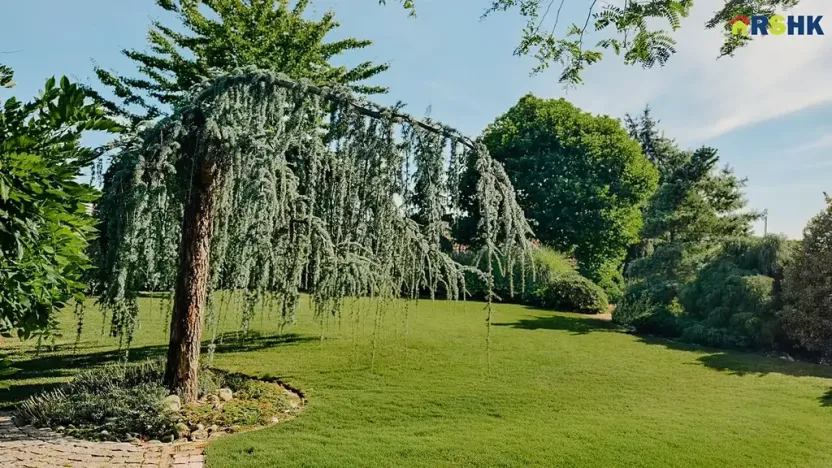 Prodej rodinného domu, Hradec Králové, Petra Jilemnického, 950 m2