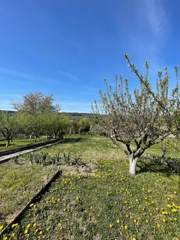 Prodej chaty, Vamberk, 25 m2