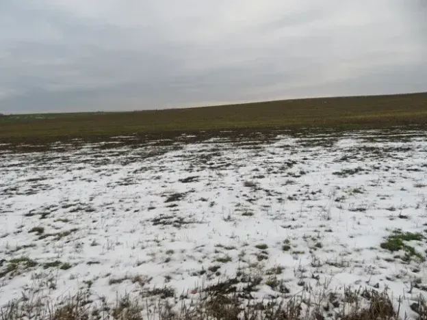 Dražba louky, Račice nad Trotinou, 18528 m2