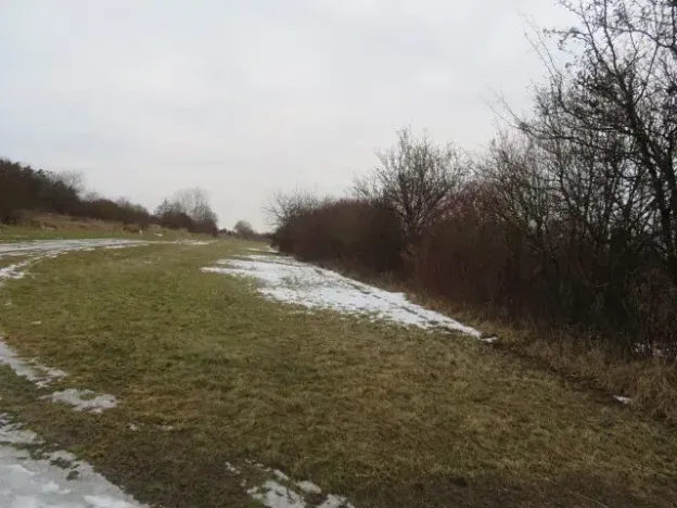 Dražba louky, Račice nad Trotinou, 18528 m2