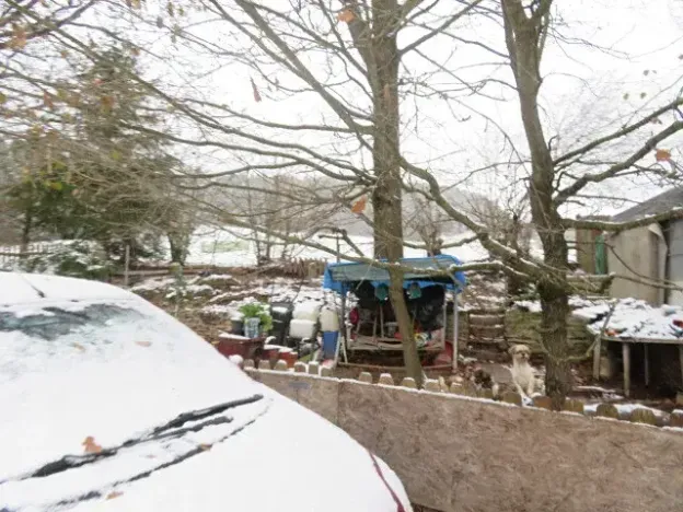 Dražba chaty, Zlatá Koruna, 10 m2