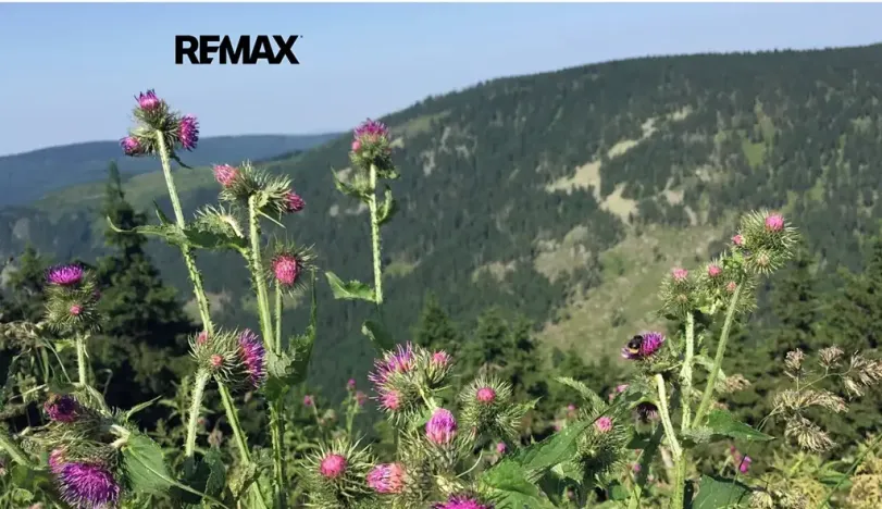 Prodej rodinného domu, Široká Niva, 135 m2