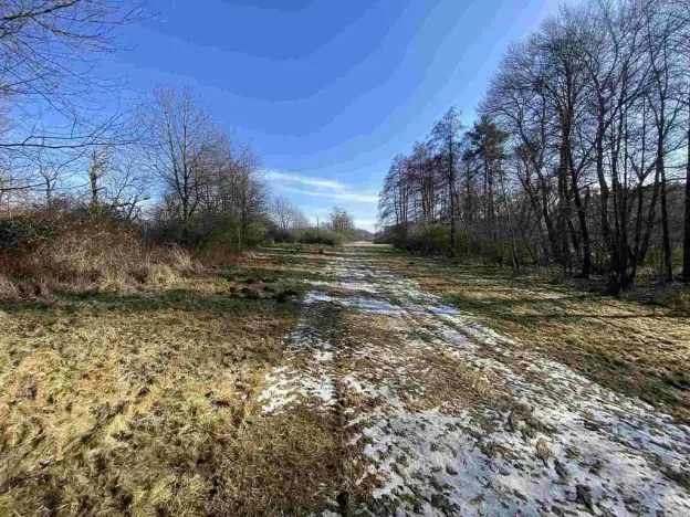 Prodej pole, Kváskovice, 10470 m2