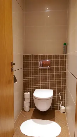 Pronájem bytu 1+kk, Praha - Žižkov, Olšanská, 32 m2