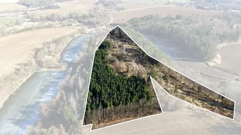 Prodej lesa, Chotoviny, 35440 m2