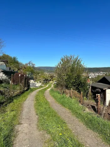 Prodej zahrady, Děčín, Litoměřická, 537 m2