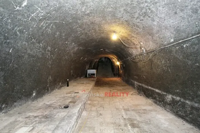 Prodej vinného sklepa, Chvalovice, 106 m2