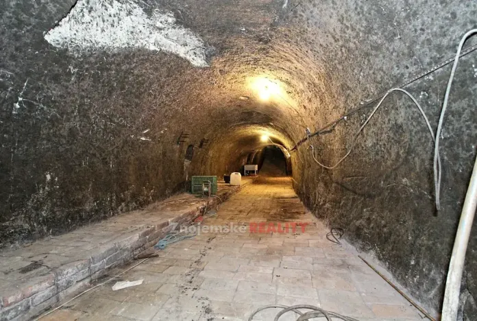 Prodej vinného sklepa, Chvalovice, 106 m2
