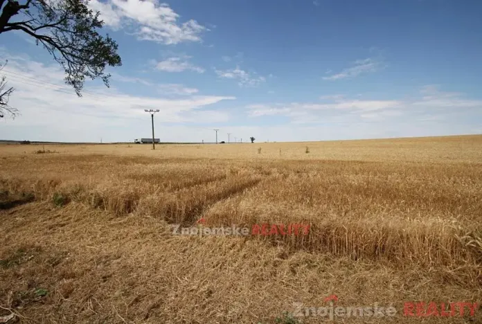 Prodej pole, Blanné, 24000 m2