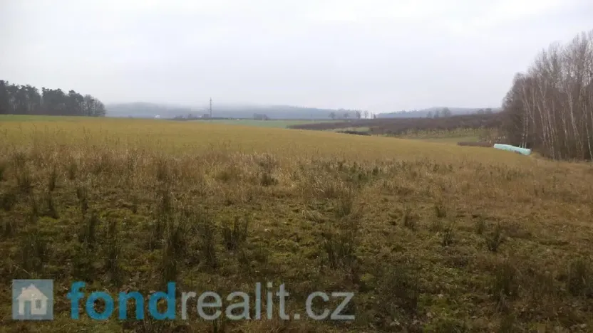 Prodej pole, Malovice, 5875 m2