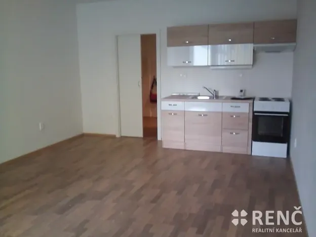 Pronájem bytu 1+kk, Brno, Francouzská, 41 m2
