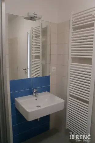 Pronájem bytu 1+kk, Brno, Francouzská, 41 m2