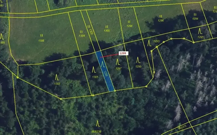 Dražba lesa, Spešov, 114 m2