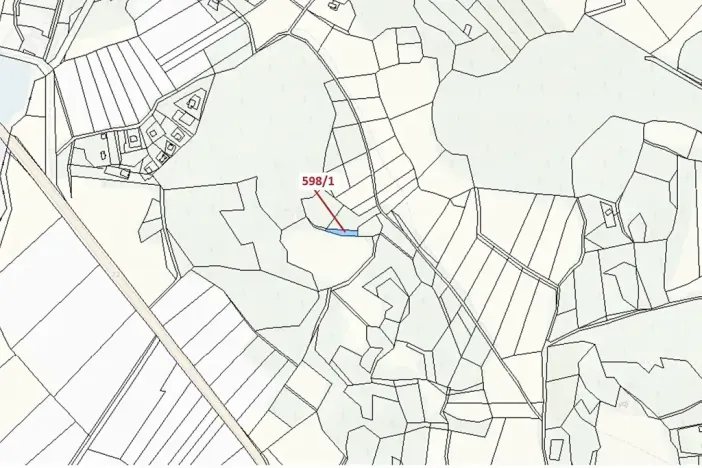 Dražba louky, Zavlekov, 272 m2