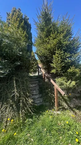 Prodej chalupy, Benešov nad Černou, 130 m2