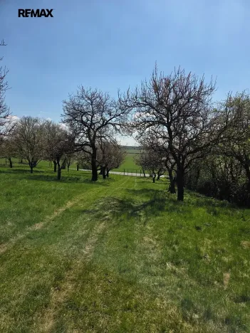 Prodej zahrady, Křenovice, 4967 m2