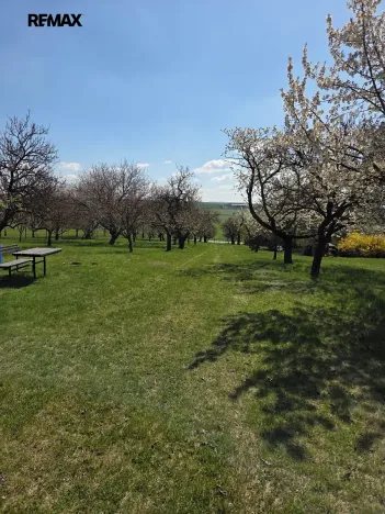 Prodej zahrady, Křenovice, 4967 m2