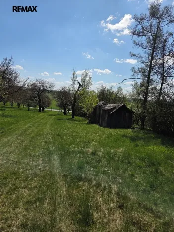 Prodej zahrady, Křenovice, 4967 m2