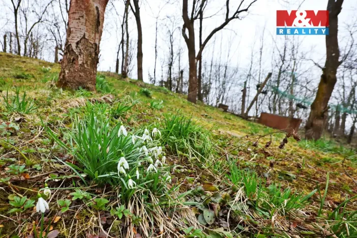 Prodej chaty, Jemnice, 16 m2