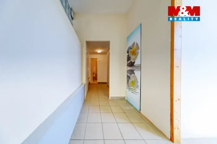 Pronájem obchodního prostoru, Písek, Čechova, 53 m2